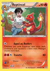 Carte Reptincel RC4/RC32