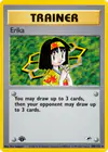 Carte Erika 100/132