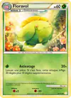 Carte Floravol 51/123