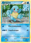 Carte Carapuce 63/95