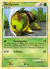 Carte Tortipouss 67/95