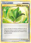 Carte Herbe sauveuse 79/95
