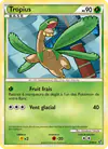 Carte Tropius 22/90