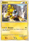 Carte Raikou HGSS19/