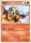 Carte Entei HGSS20/