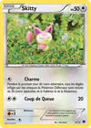 Carte Skitty 12/12