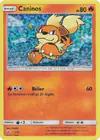 Carte Caninos 1/12