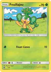Carte Feuillajou 1/40