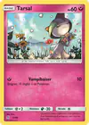 Carte Tarsal 31/40