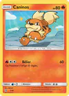 Carte Caninos 5/40