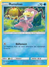 Carte Ramoloss 14/40