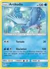 Carte Artikodin 19/40
