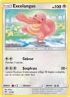Carte Excelangue 37/40