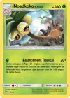 Carte Noadkoko d'Alola 5/40