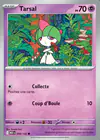 Carte Tarsal 058/132