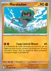 Carte Marshadow 080/132