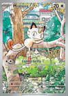 Carte Miaouss 106/094