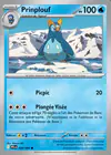 Carte Prinplouf 028/094