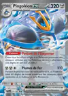 Carte Pingoléon ex 070/094
