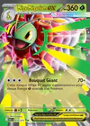 Carte Méga-Méganium ex 010/217