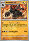 Carte Monthracite 120/217