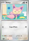 Carte Skitty 165/217