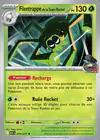 Carte Filentrappe de la Team Rocket 019/217