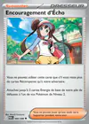 Carte Encouragement d'Écho 084/088