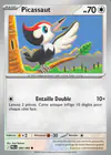 Carte Picassaut 066/084