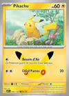 Carte Pikachu 046/128