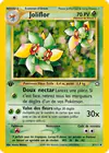 Carte Joliflor 3/111