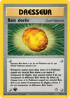 Carte Baie dorée 93/111