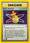 Carte Baie miracle 94/111