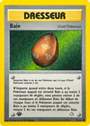 Carte Baie 99/111