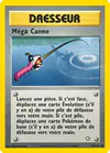 Carte Méga Canne 103/111