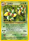 Carte Joliflor 3/111