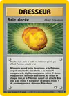 Carte Baie dorée 93/111