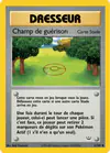 Carte Champ de guérison 61/64