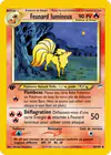 Carte Feunard lumineux 50/105
