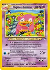 Carte Flagadoss lumineux 51/105