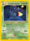 Carte Coxyclaque lumineux 24/105