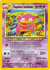 Carte Flagadoss lumineux 51/105