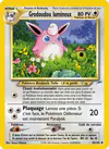 Carte Grodoudou lumineux 54/105