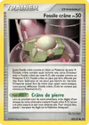 Carte Fossile crâne 120/127