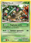 Carte Torterra 39/127