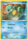 Carte Carapuce 96/127