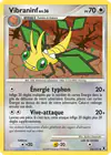 Carte Vibraninf 53/111