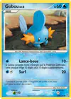 Carte Gobou 116/147