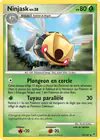 Carte Ninjask 73/147