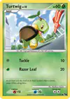 Carte Turtwig 17/17